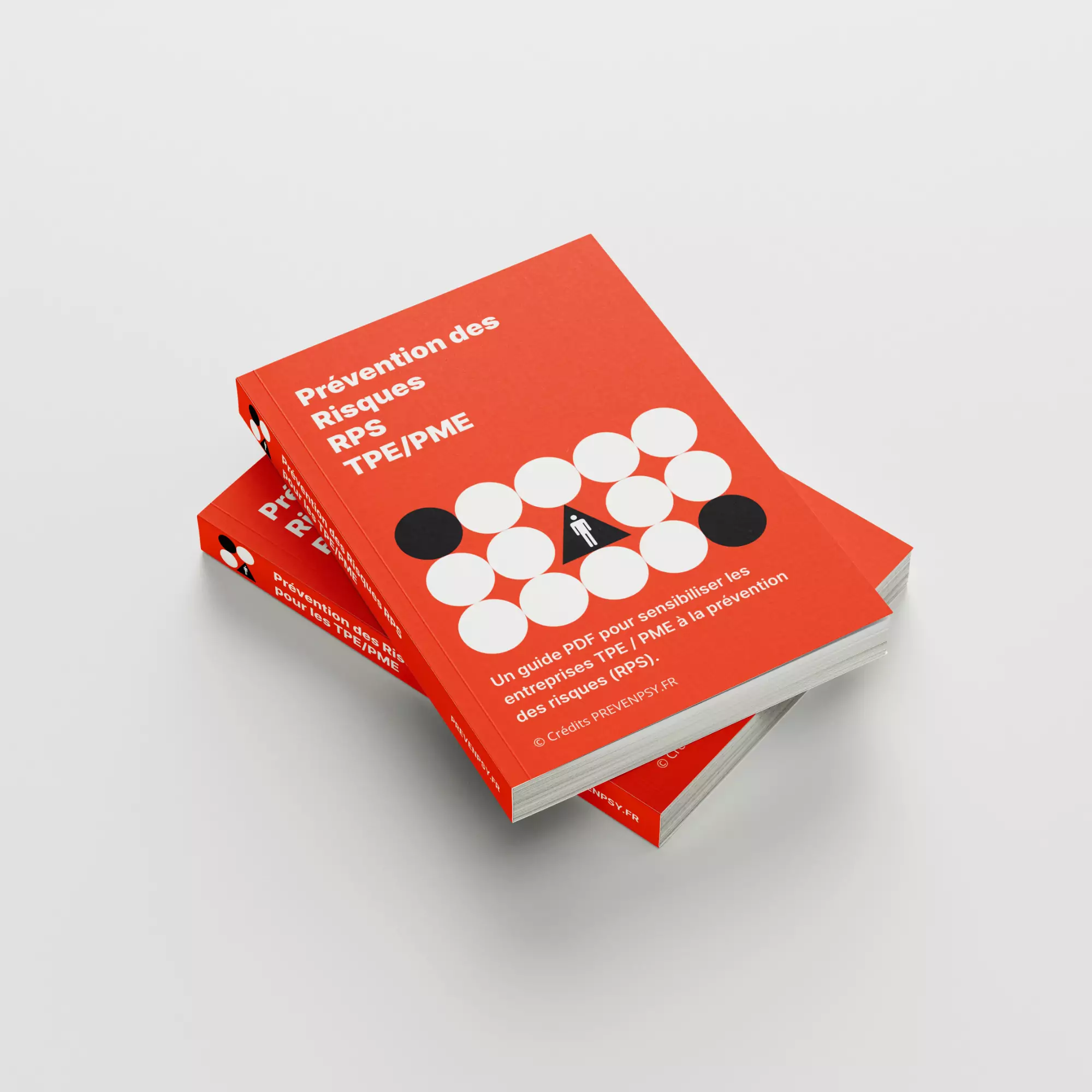 Kits PDF prévention des risques RPS